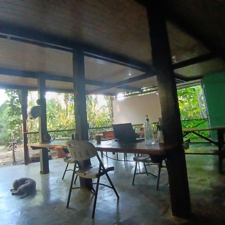 Nativos Corcovado Cabins Дрейк Екстер'єр фото