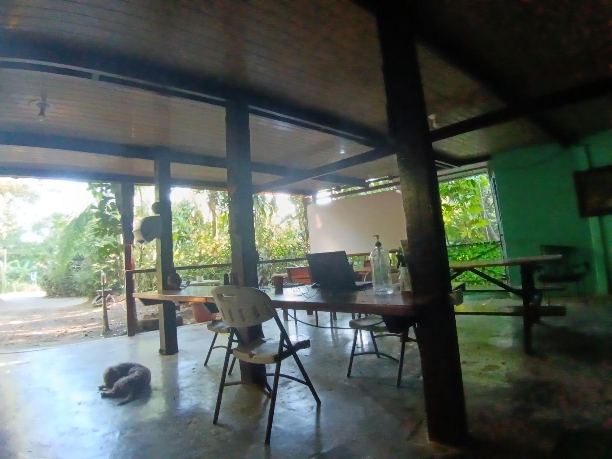 Nativos Corcovado Cabins Дрейк Екстер'єр фото